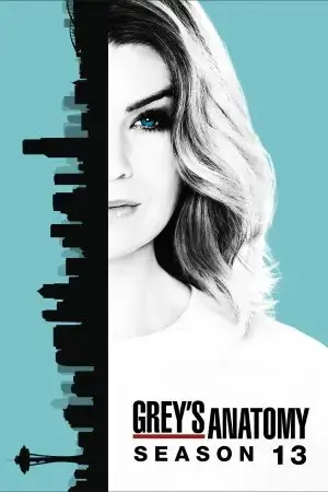 Ca Phẫu Thuật Của Grey (Phần 13) Ca Phẫu Thuật Của Grey (Phần 13)